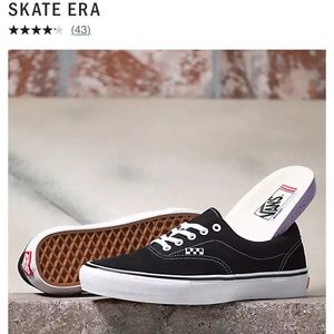 Vans Skate Era Shoes